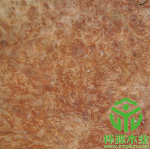 紅花樟樹(shù)榴木皮0.5mm價(jià)格實(shí)惠，高檔樹(shù)榴木皮品質(zhì)保證