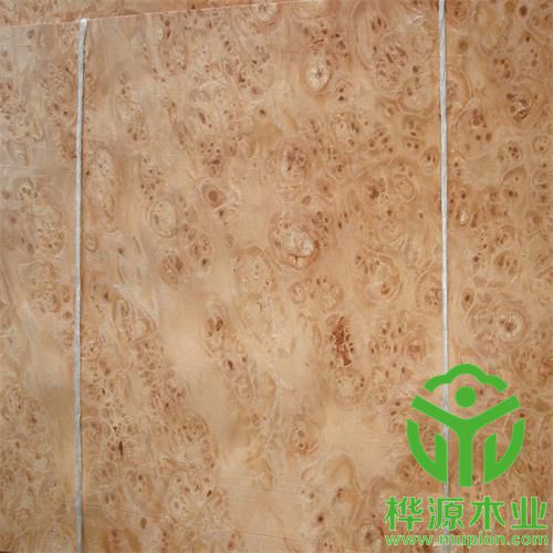 楓木樹(shù)榴木皮0.5mm價(jià)格實(shí)惠，楓木樹(shù)榴木皮質(zhì)量保證