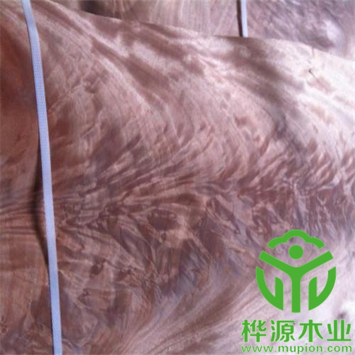奧古曼樹(shù)杈木皮價(jià)格優(yōu)惠，0.5mm樹(shù)杈木皮品質(zhì)好